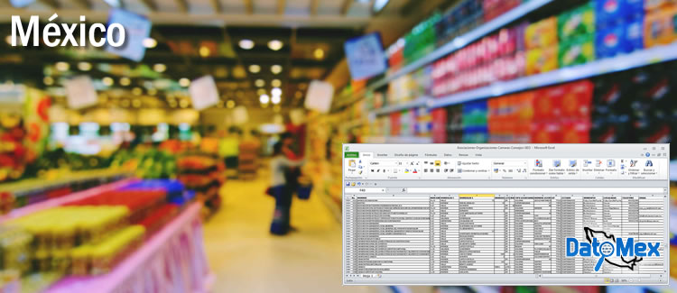Mexico Retail Trade business database in excel